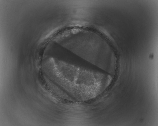 X0000116611399200912312108