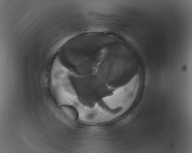 X0000116611401200912312108