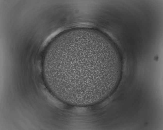 X0000116611402200912312108