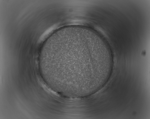 X0000116611403200912312108