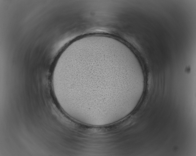 X0000116611404200912312108