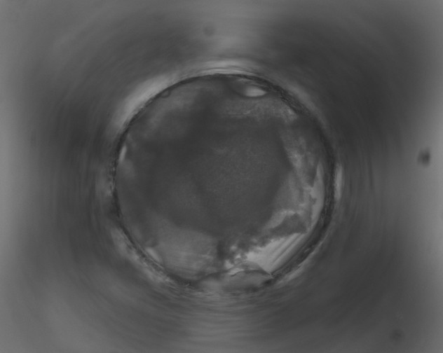 X0000116611405200912312108