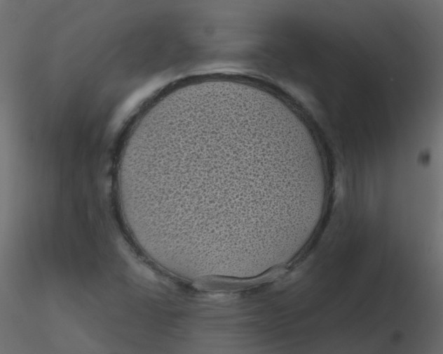 X0000116611406200912312108