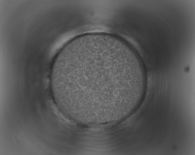 X0000116611407200912312108