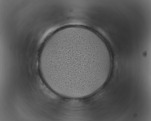 X0000116611408200912312108