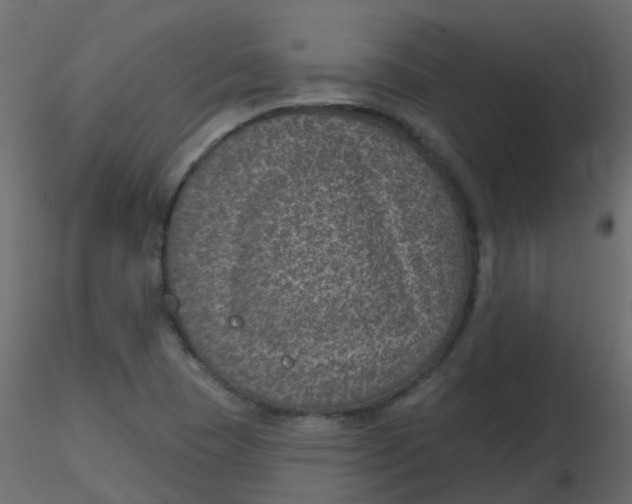 X0000116611409200912312108