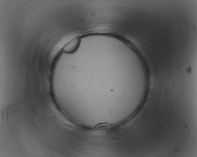 X0000116611410200912312108