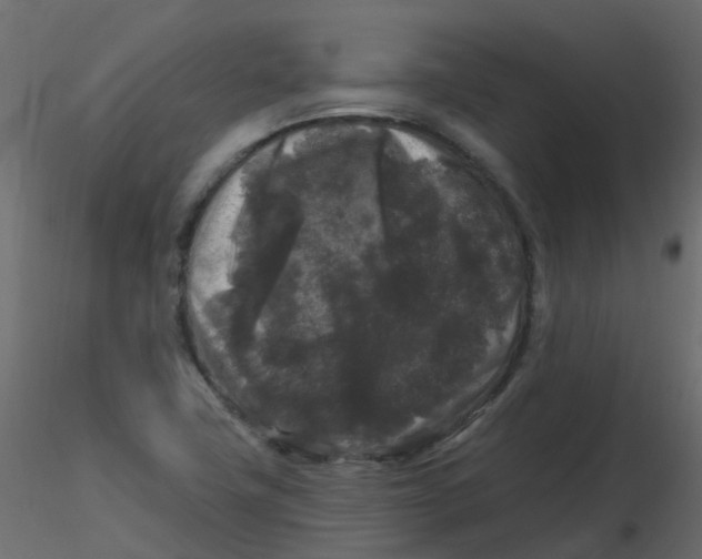 X0000116611411200912312108