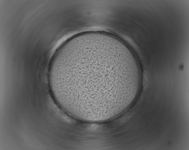 X0000116611412200912312108