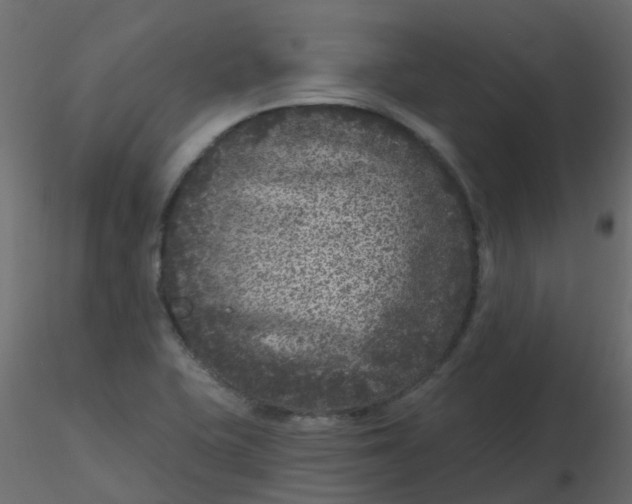 X0000116611415200912312108