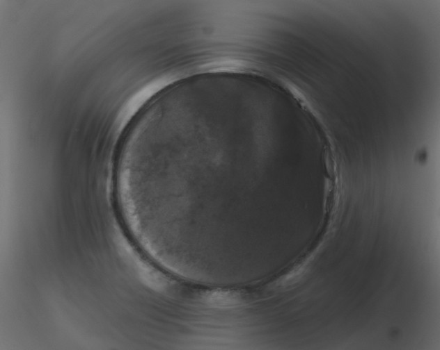 X0000116611418200912312108