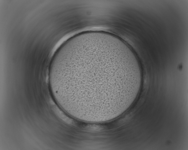 X0000116611420200912312108