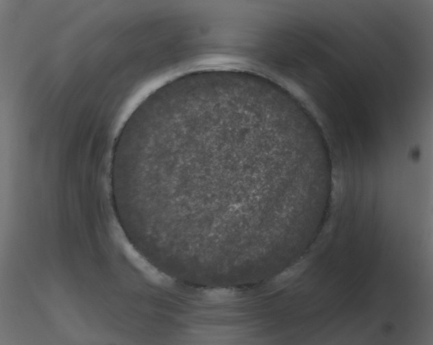 X0000116611421200912312108