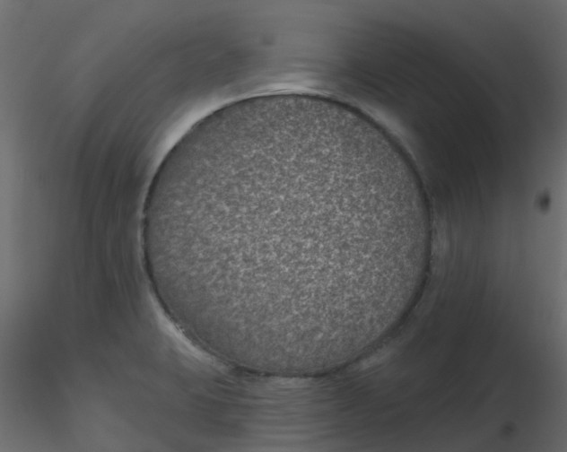 X0000116611423200912312108