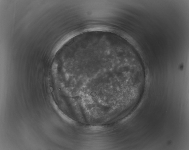 X0000116611425200912312108