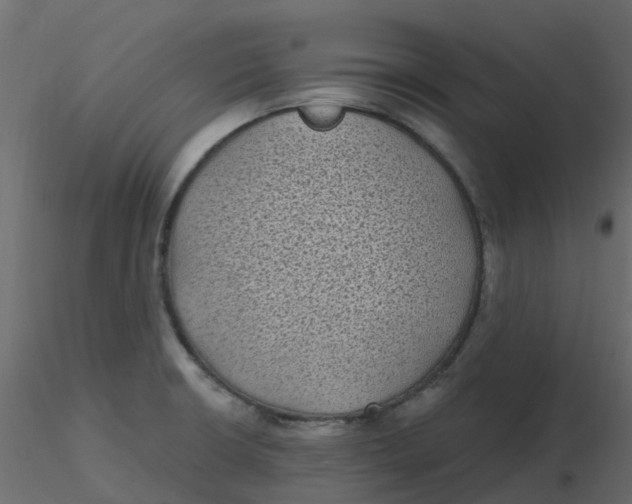 X0000116611426200912312108