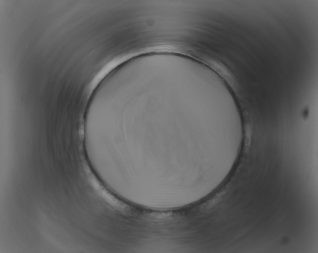 X0000116611428200912312108