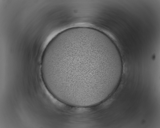 X0000116611430200912312108