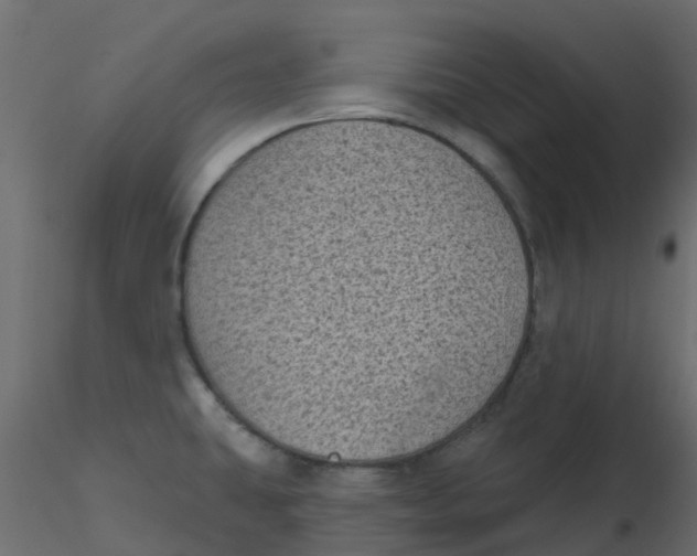 X0000116611431200912312108