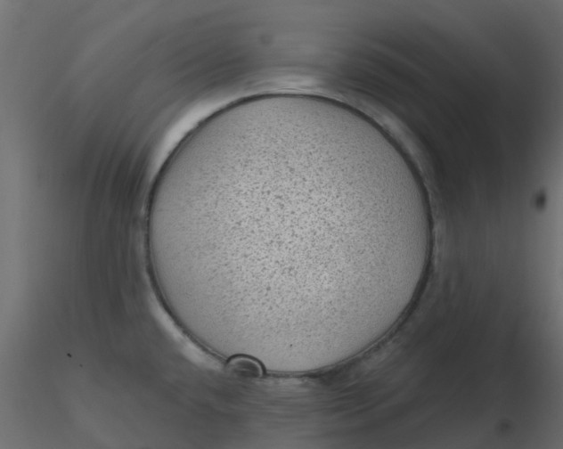 X0000116611432200912312108