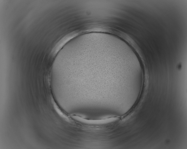 X0000116611433200912312108