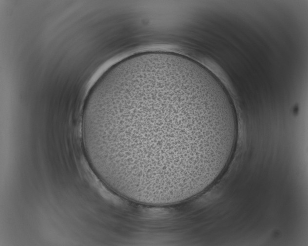 X0000116611436200912312108