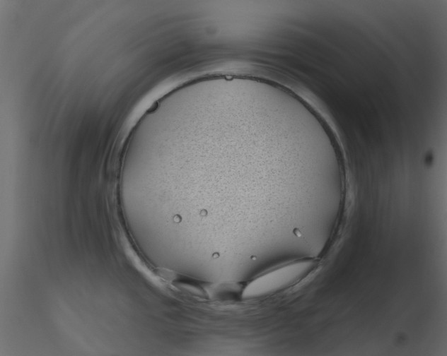 X0000116611437200912312109