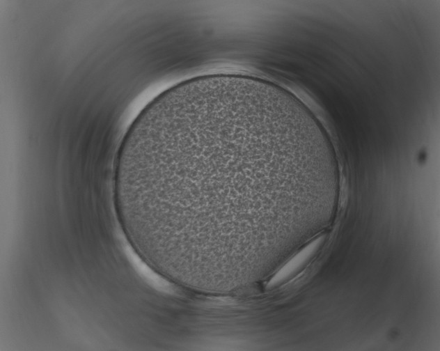 X0000116611438200912312109