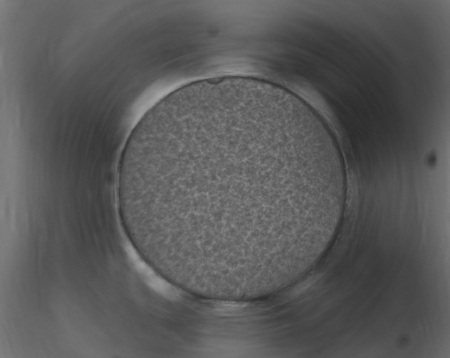 X0000116611439200912312109