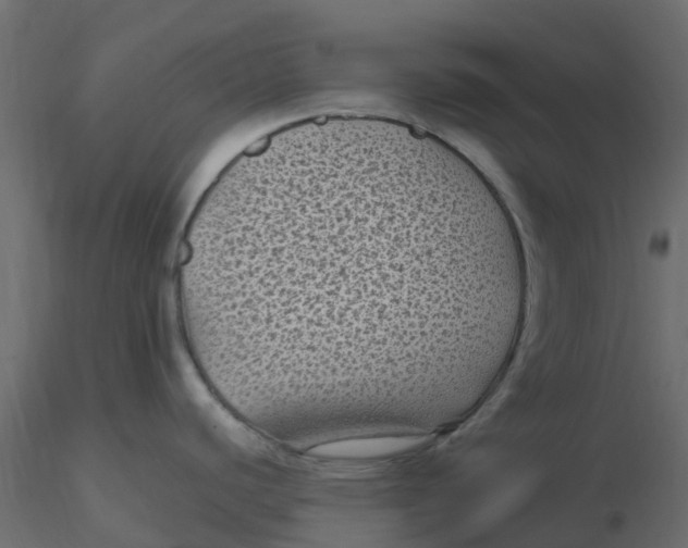 X0000116611440200912312109