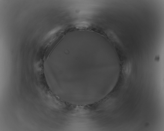 X0000116611445200912312108