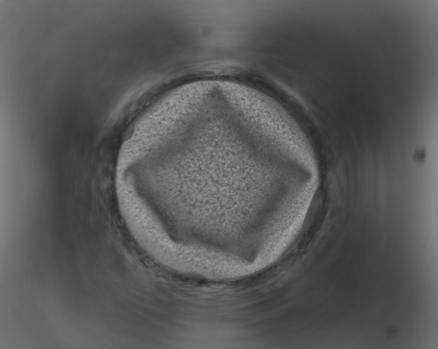 X0000116611447200912312108