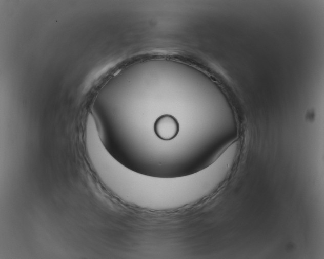 X0000116611448200912312108