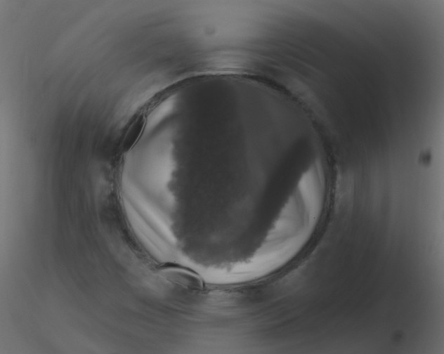 X0000116611449200912312108