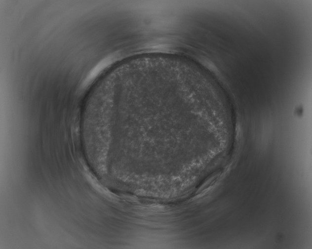 X0000116611450200912312108