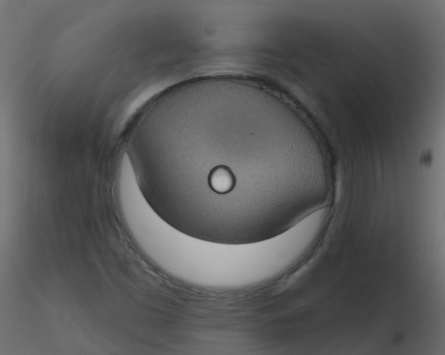 X0000116611453200912312108