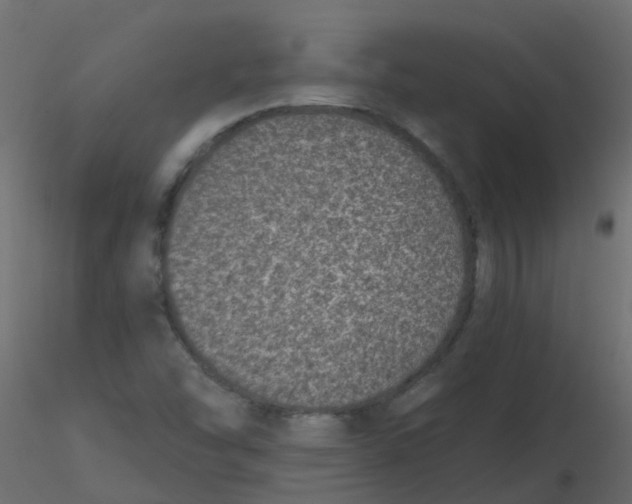 X0000116611454200912312108