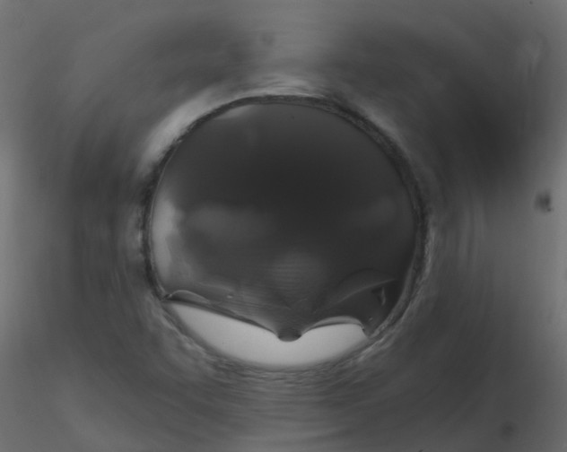 X0000116611455200912312108