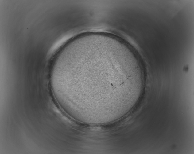 X0000116611456200912312108