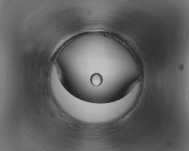 X0000116611457200912312108