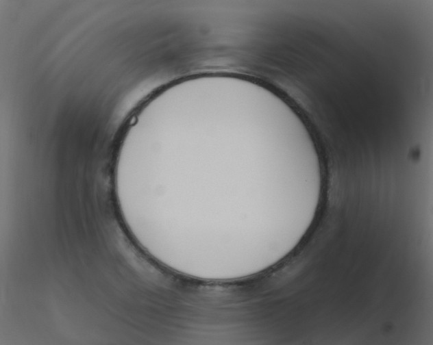 X0000116611458200912312108