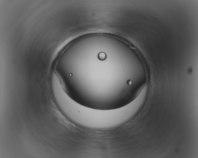 X0000116611460200912312108