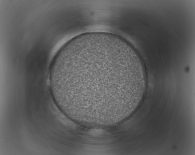 X0000116611462200912312108