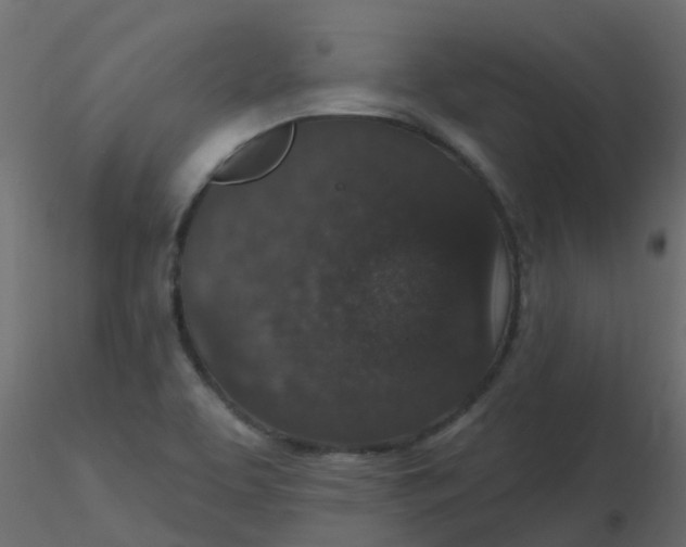 X0000116611463200912312108