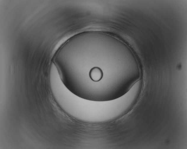 X0000116611465200912312108