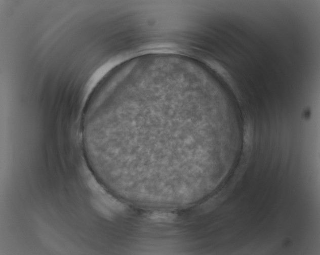 X0000116611466200912312108