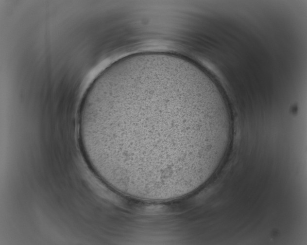 X0000116611467200912312108