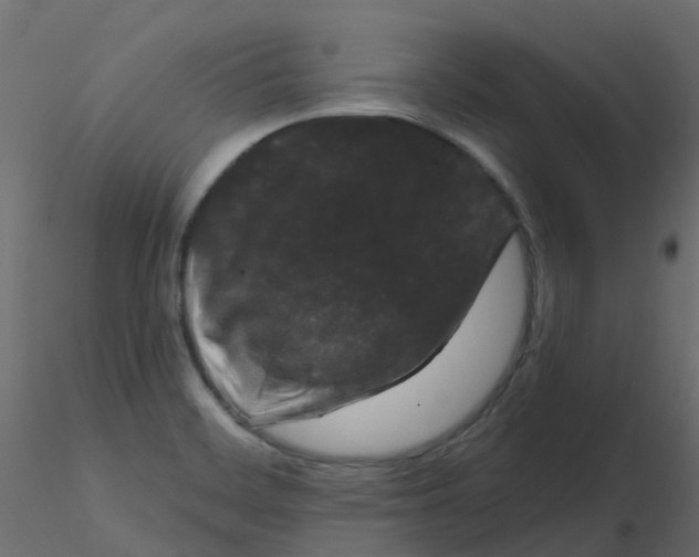 X0000116611468200912312108