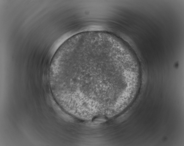 X0000116611473200912312107