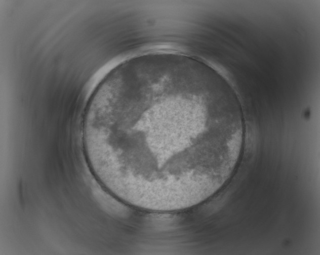 X0000116611474200912312107